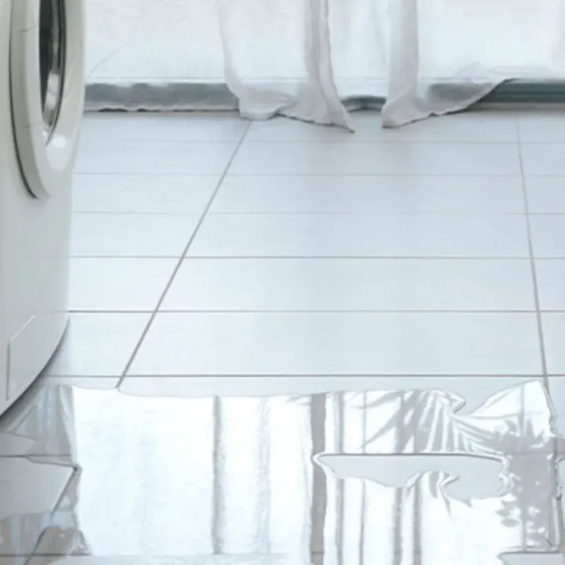 Appliance Leak Cleanup in Calera, OK