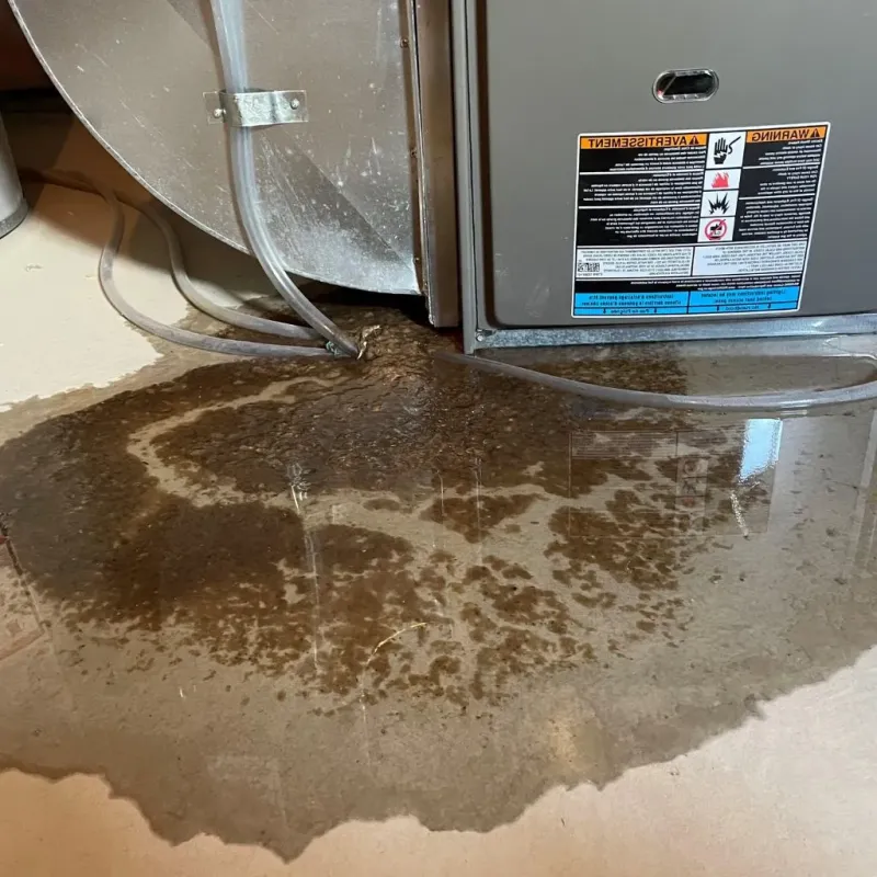 Pipe Burst and Leak Restoration in Calera, OK